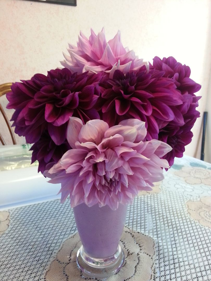  photo 20140928_172915_zpsv2f2yn4n.jpg